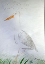 Kováčik Samuel.jpg